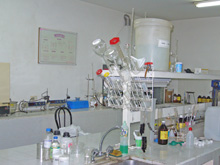foto2