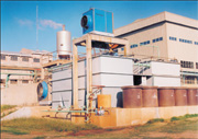 OLEAGINOSA OESTE S.A.